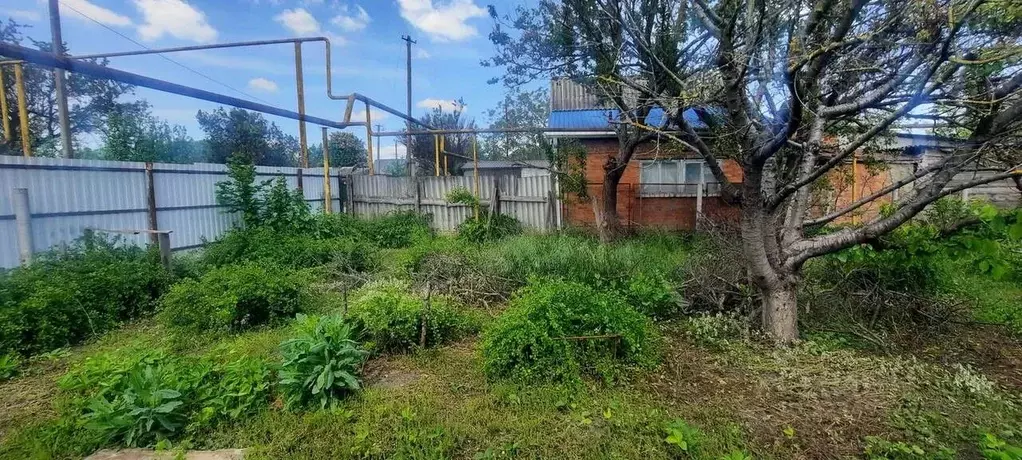 Участок в Краснодарский край, Динской район, Нововеличковское с/пос, ... - Фото 1