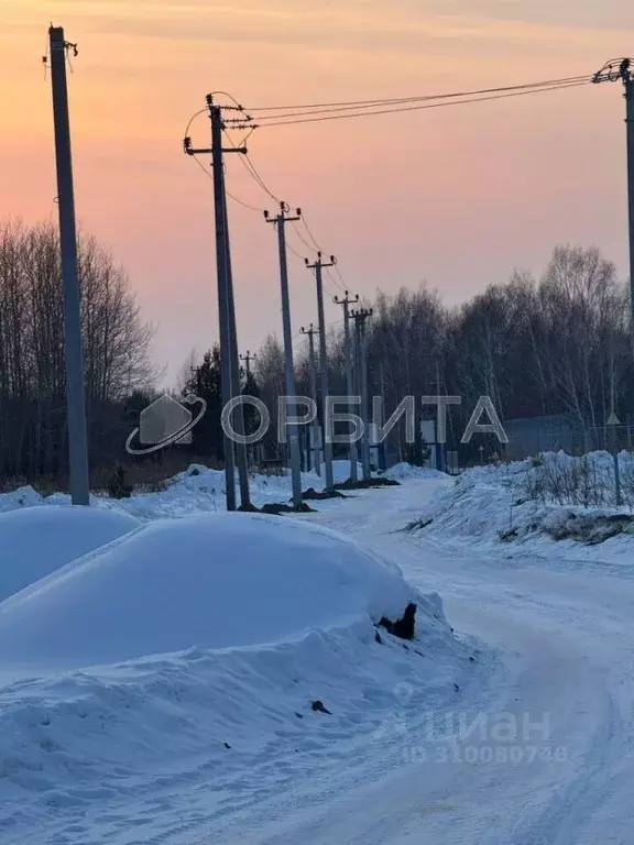 Участок в Тюменская область, Нижнетавдинский район, Ключевское с/пос, ... - Фото 1