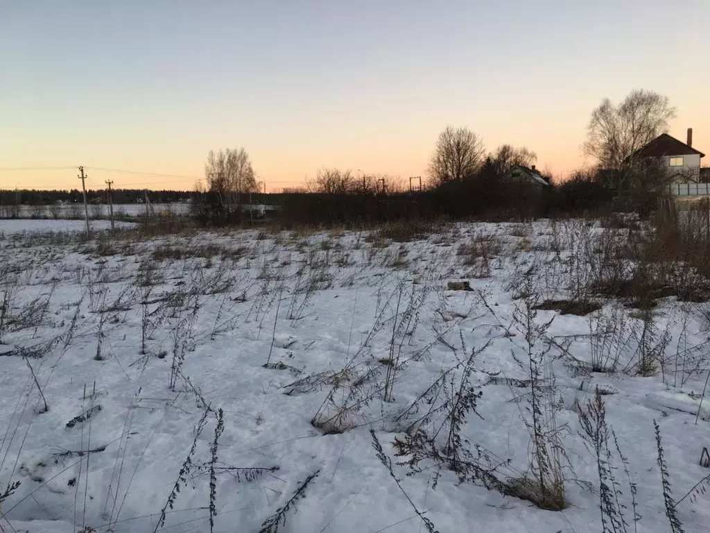 Участок в Московская область, Пушкинский городской округ, д. Петушки  ... - Фото 2