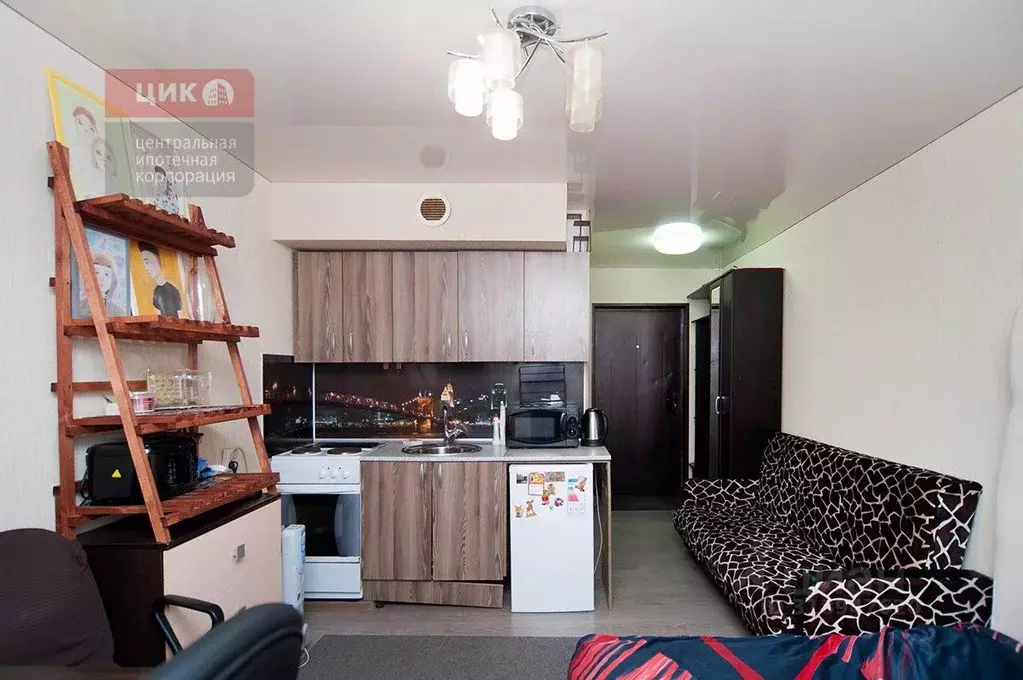 Студия Рязанская область, Рязанский район, Дядьковское с/пос, с. ... - Фото 1