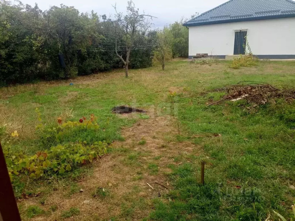 Участок в Краснодарский край, Новороссийск городской округ, Раевская ... - Фото 2