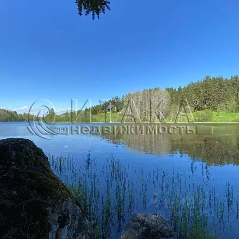 Участок в Ленинградская область, Выборгский район, Каменногорское ... - Фото 2