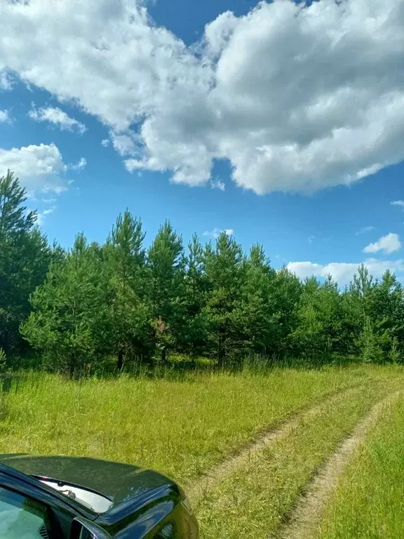 Участок в Нижегородская область, Варнавинский муниципальный округ, с. ... - Фото 1