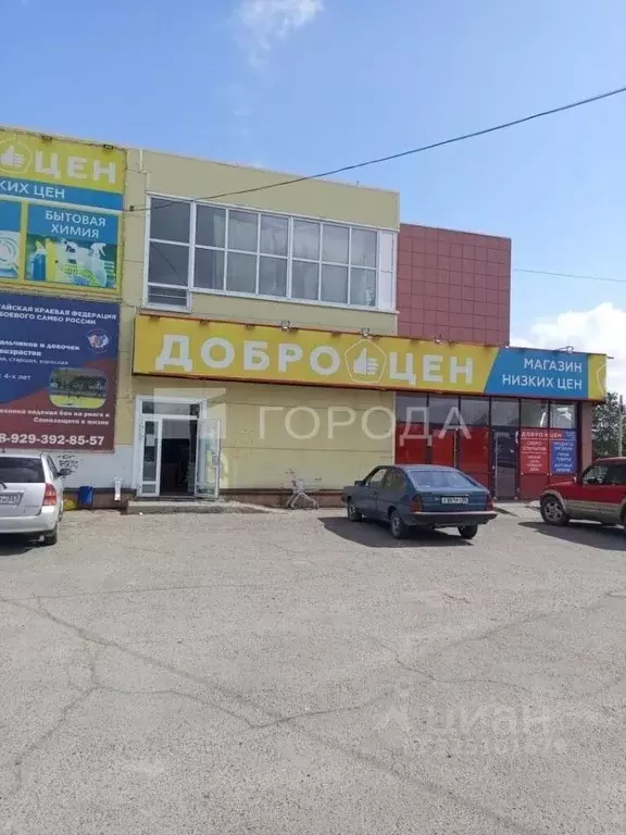 Торговая площадь в Алтайский край, Павловский район, с. Павловск ул. ... - Фото 1