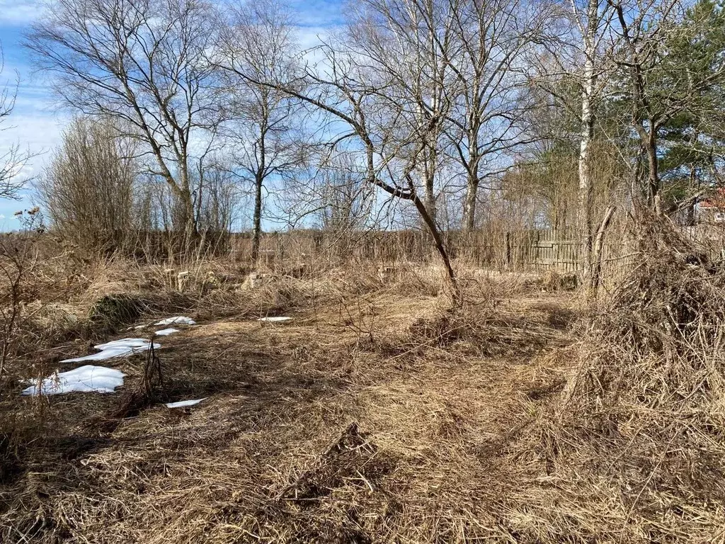 Участок в Тверская область, Конаковский муниципальный округ, д. ... - Фото 1