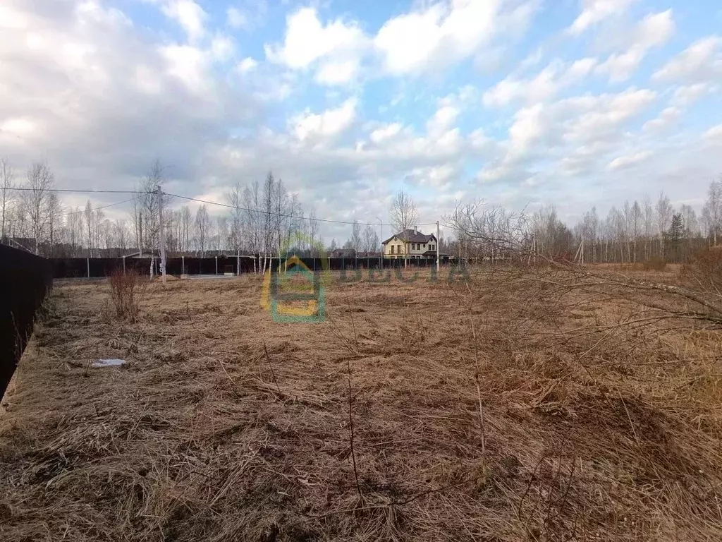 Участок в Ленинградская область, Выборгский район, Рощинское городское ... - Фото 2