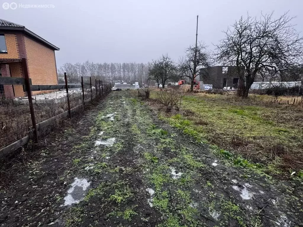 Участок в Брянский район, Мичуринское сельское поселение, СДТ ... - Фото 1