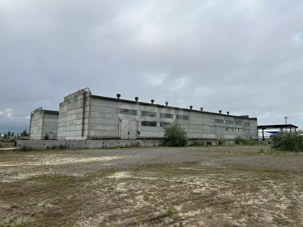 Склад в Ямало-Ненецкий АО, Новый Уренгой А панель,  (1296 м) - Фото 1