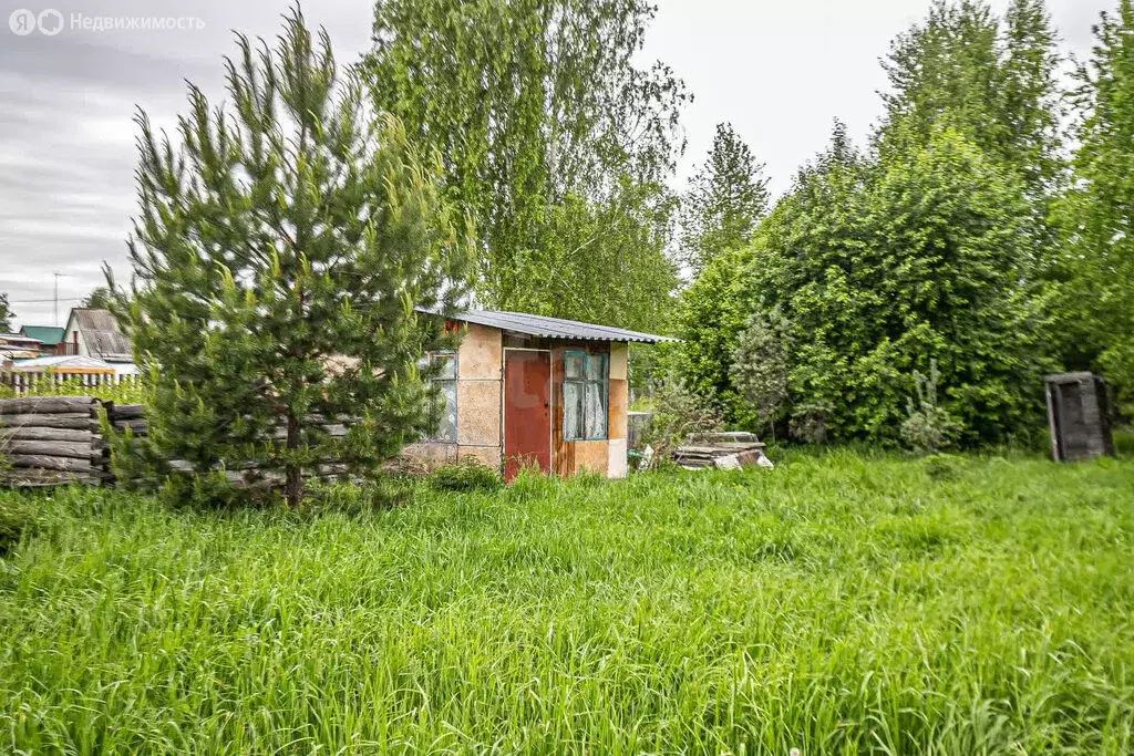 Участок в Бердск, СНТ Ива, 16-я улица (6.6 м) - Фото 1