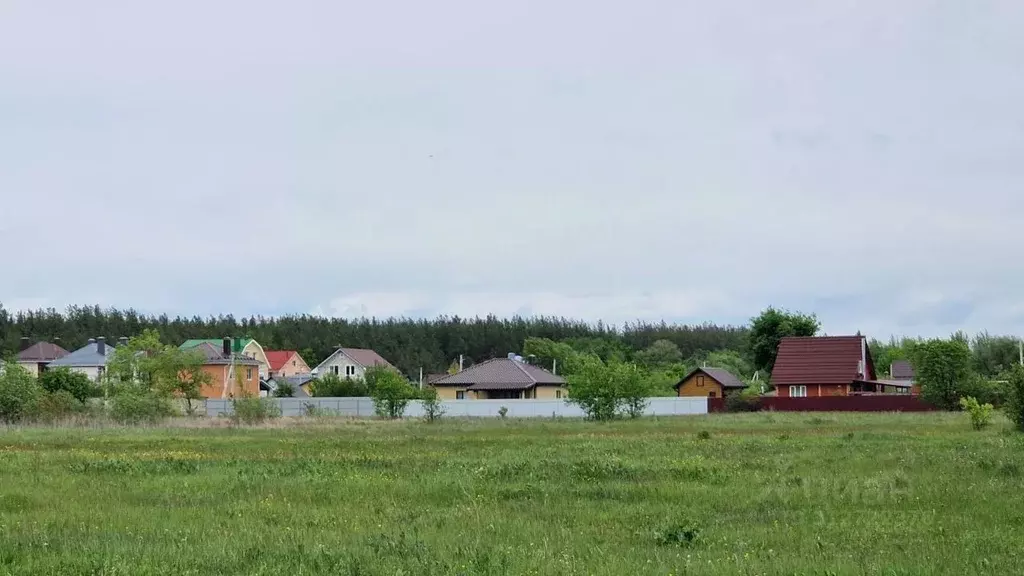 Участок в Воронежская область, с. Новая Усмань ул. Октябрьская, 19/2 ... - Фото 0