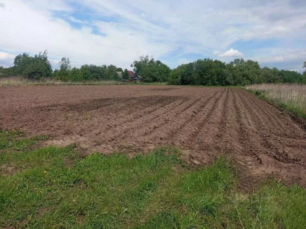 Участок в Рязанская область, Пителинский муниципальный округ, с. ... - Фото 2