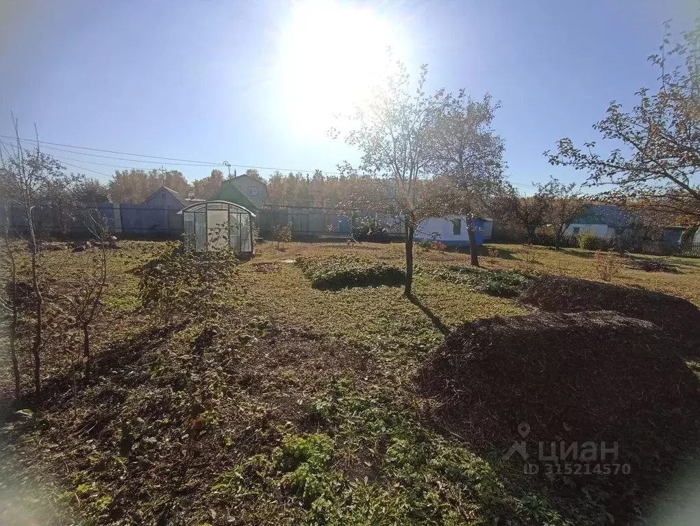 Дом в Челябинская область, Челябинск Металлург СНТ, Квартал 3-й уч, ... - Фото 2