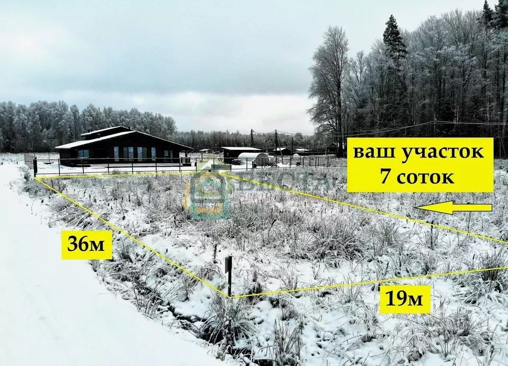 Участок в Ленинградская область, Приозерский район, Красноозерное ... - Фото 1