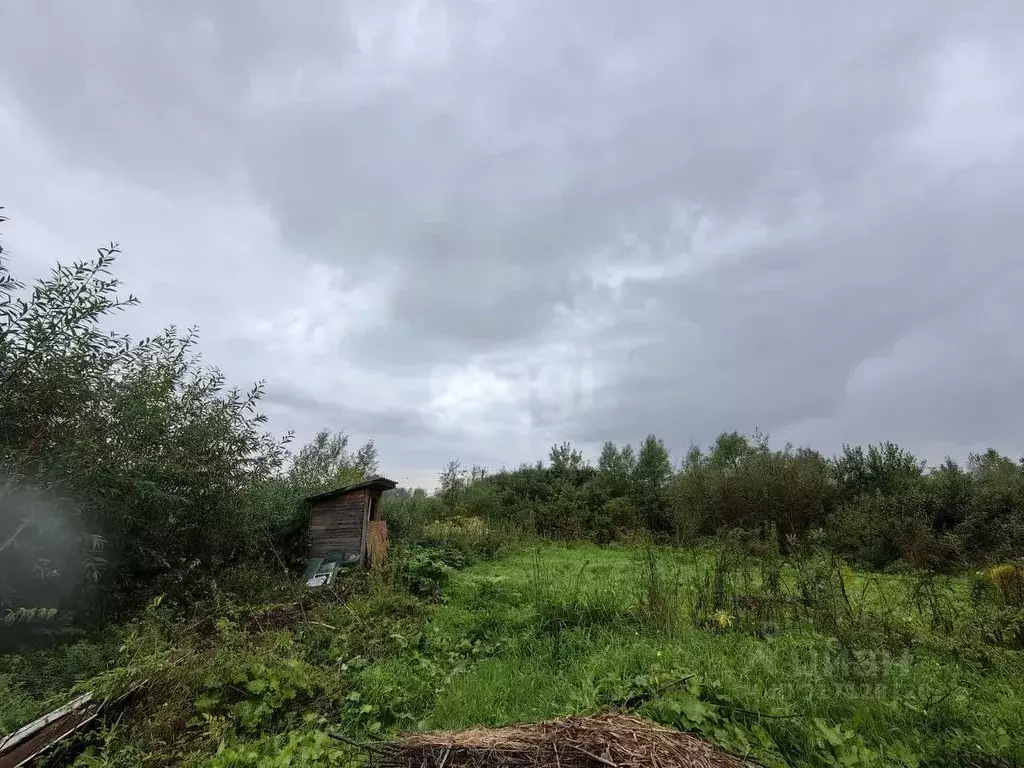 Участок в Кемеровская область, Новокузнецкий муниципальный округ, с. ... - Фото 0