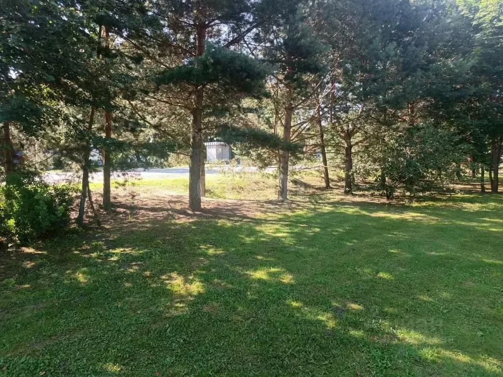 Участок в Калужская область, Боровский муниципальный округ, Кривское ... - Фото 0