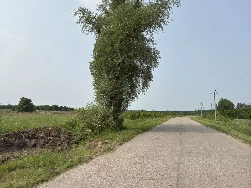 Участок в Калининградская область, Гвардейский муниципальный округ, ... - Фото 1