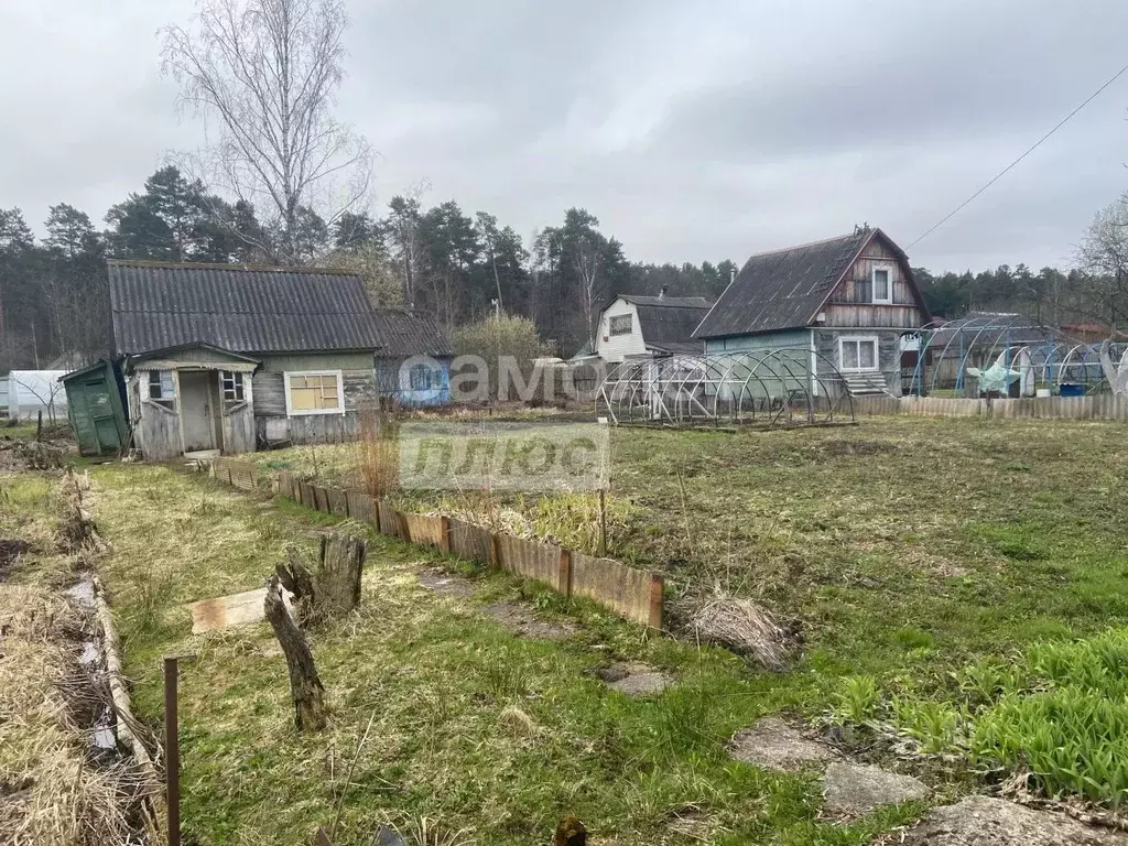 Дом в Брянская область, Сельцо  (20 м) - Фото 1