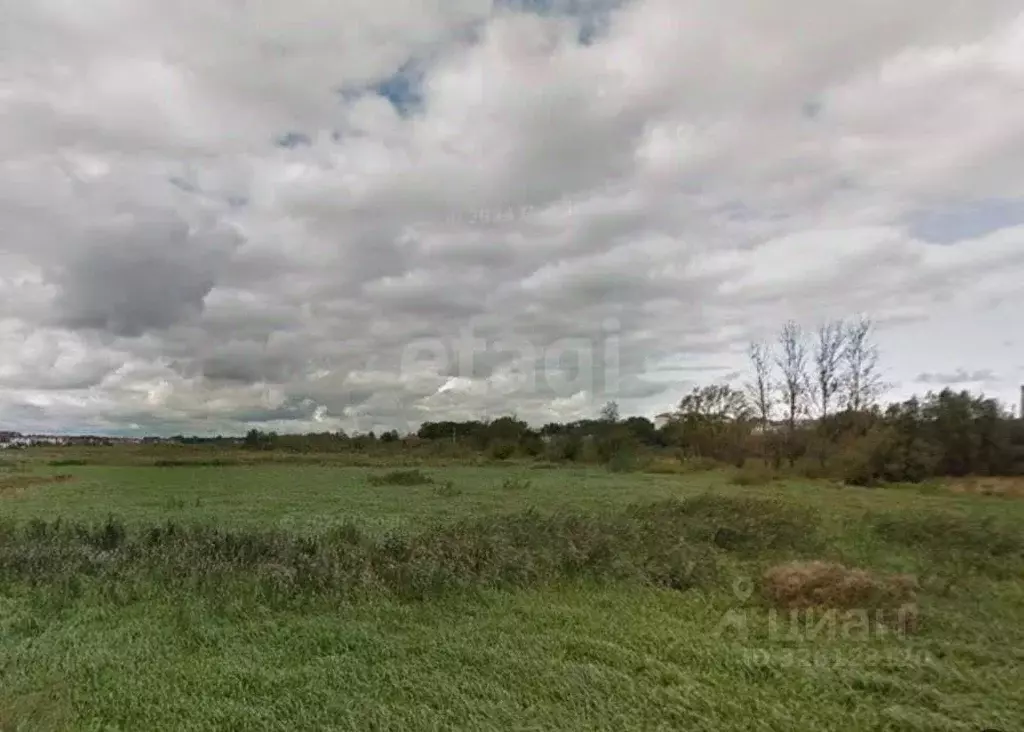 Участок в Калининградская область, Зеленоградск Прибой садоводческое ... - Фото 2