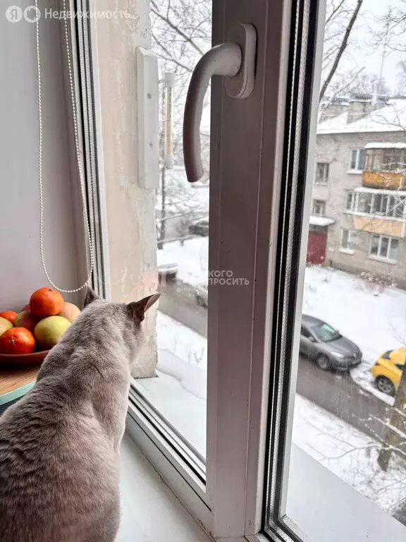 2-комнатная квартира: Петергоф, Озерковая улица, 15 (42 м) - Фото 2