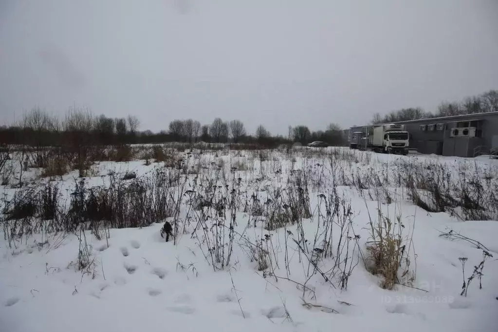 Участок в Вологодская область, Шекснинский район, д. Нифантово  (8.6 ... - Фото 0