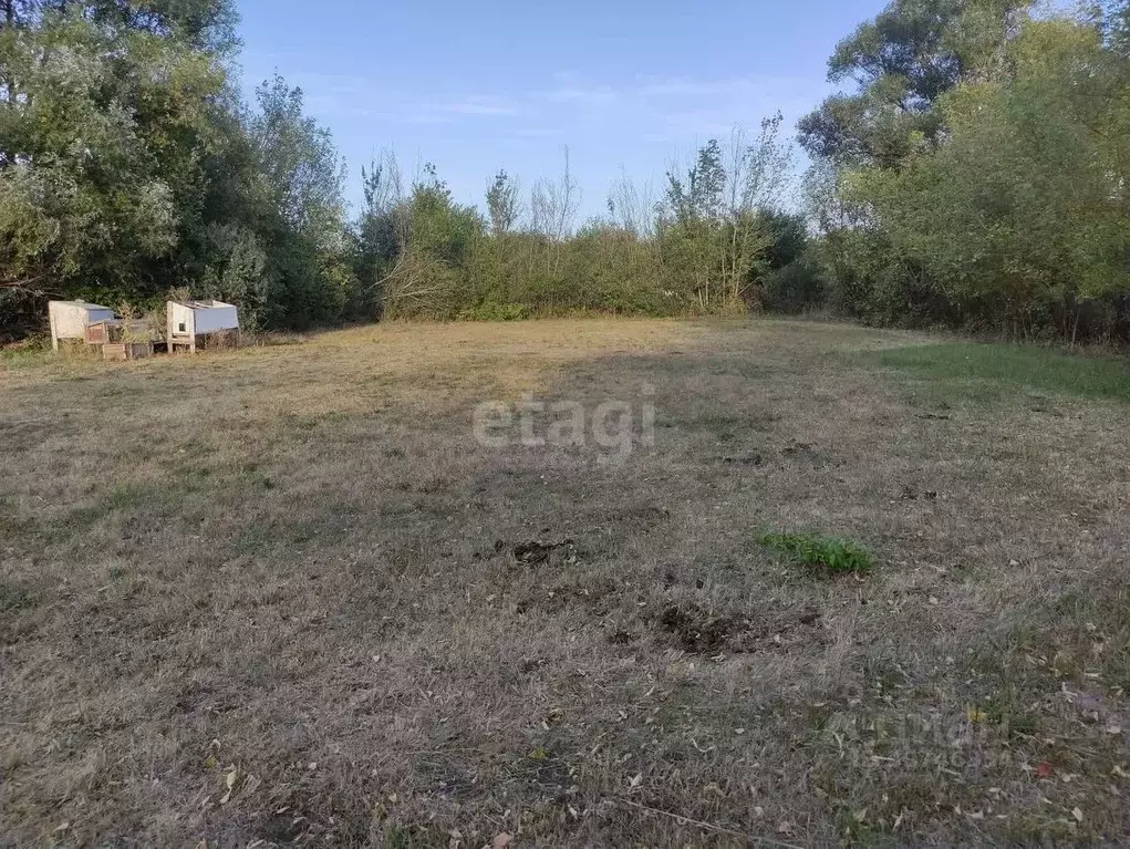 Участок в Белгородская область, Старооскольский городской округ, с. ... - Фото 0