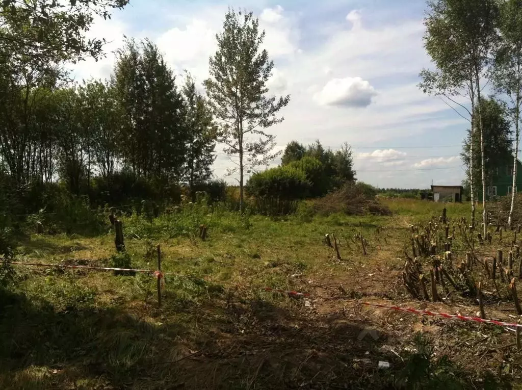 Участок в Московская область, Истра городской округ, д. Лисавино . - Фото 0