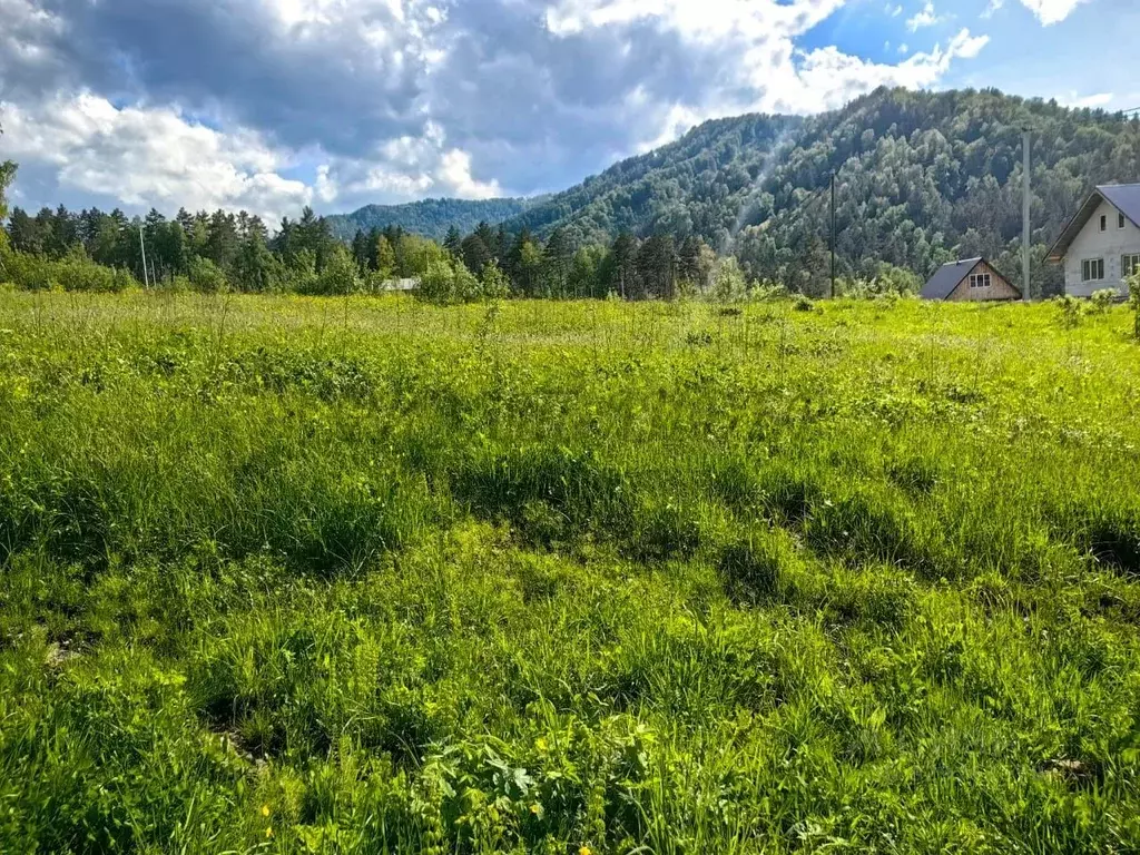 Участок в Алтай, Майминский район, Манжерокское с/пос, с. Озерное ул. ... - Фото 2