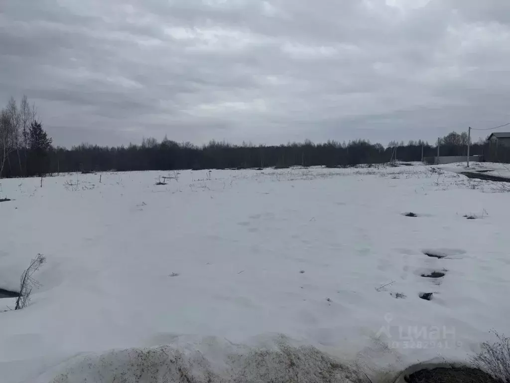 Участок в Московская область, Шатура муниципальный округ, д. ... - Фото 1