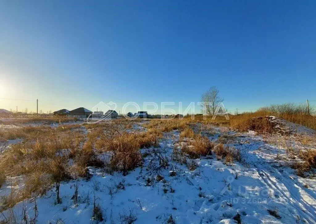 Участок в Тюменская область, Тюмень Царево садовое товарищество, ул. ... - Фото 2