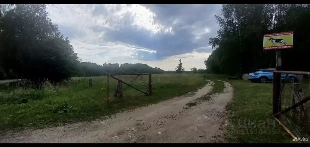 Участок в Калининградская область, Багратионовский муниципальный ... - Фото 1