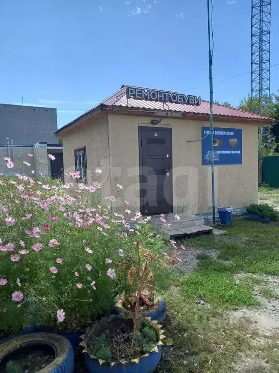 Торговая площадь в Курганская область, Курган ул. Перова, 22А (25 м) - Фото 1
