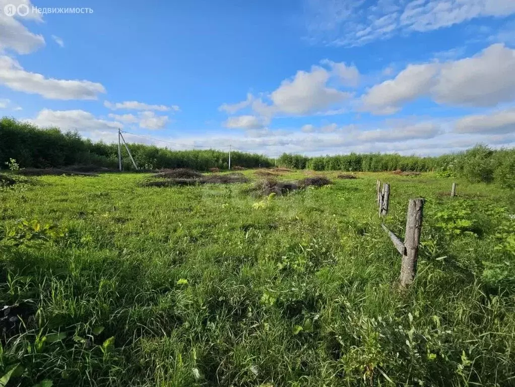 Участок в Иглинский район, Балтийский сельсовет, СНО Загорская Дружба, ... - Фото 1