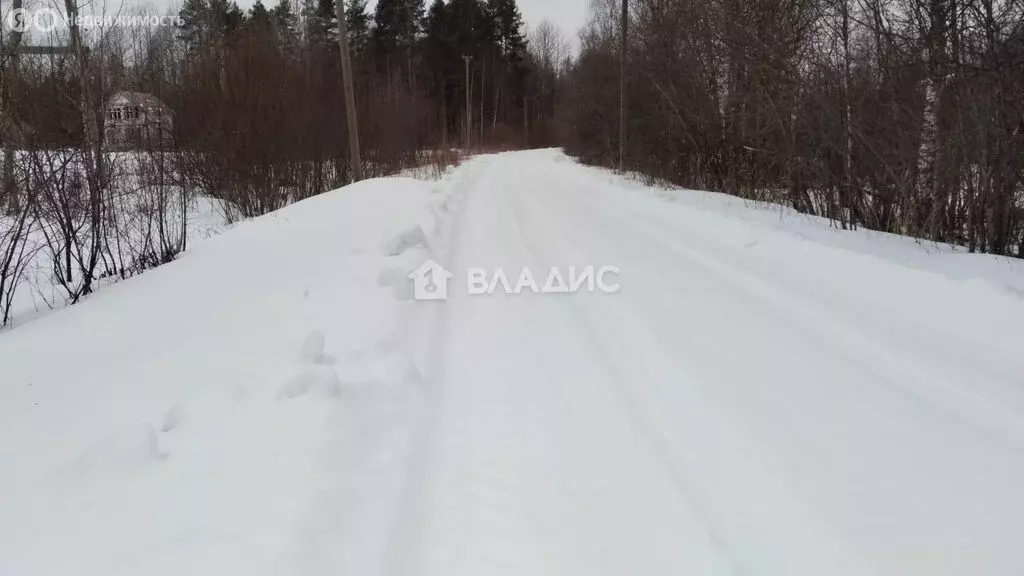 Участок в Кончезерское сельское поселение, СОТ Ивушка (15 м) - Фото 1