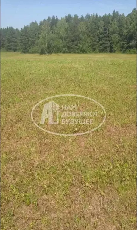 Участок в Пермский край, Кунгурский муниципальный округ, пос. ... - Фото 1