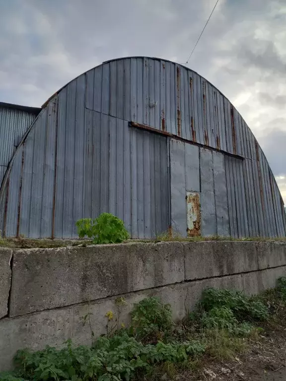 Склад в Рязанская область, Рязань проезд Шабулина, 1 (1169 м) - Фото 1