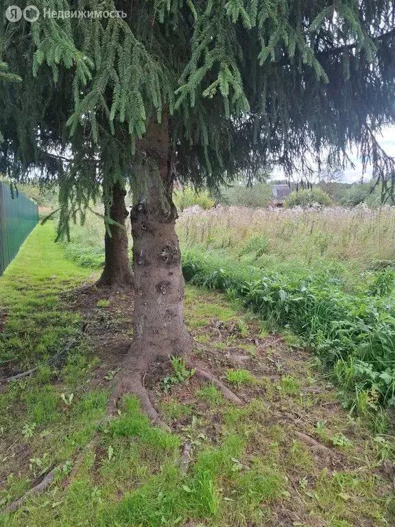 Участок в Московская область, городской округ Клин, деревня ... - Фото 2