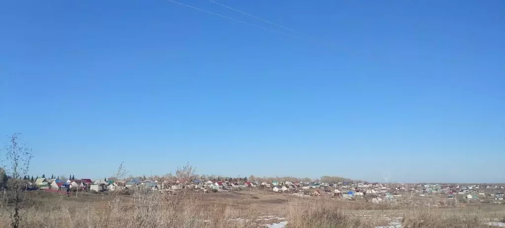 Участок в Алтайский край, Барнаул городской округ, пос. Центральный ... - Фото 2