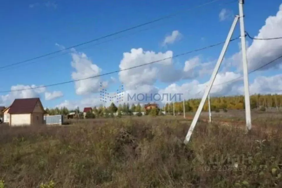 Участок в Нижегородская область, Богородский муниципальный округ, д. ... - Фото 1