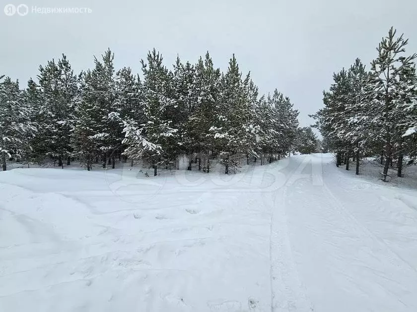 Участок в Свердловская область, посёлок городского типа Тугулым (16 м) - Фото 1