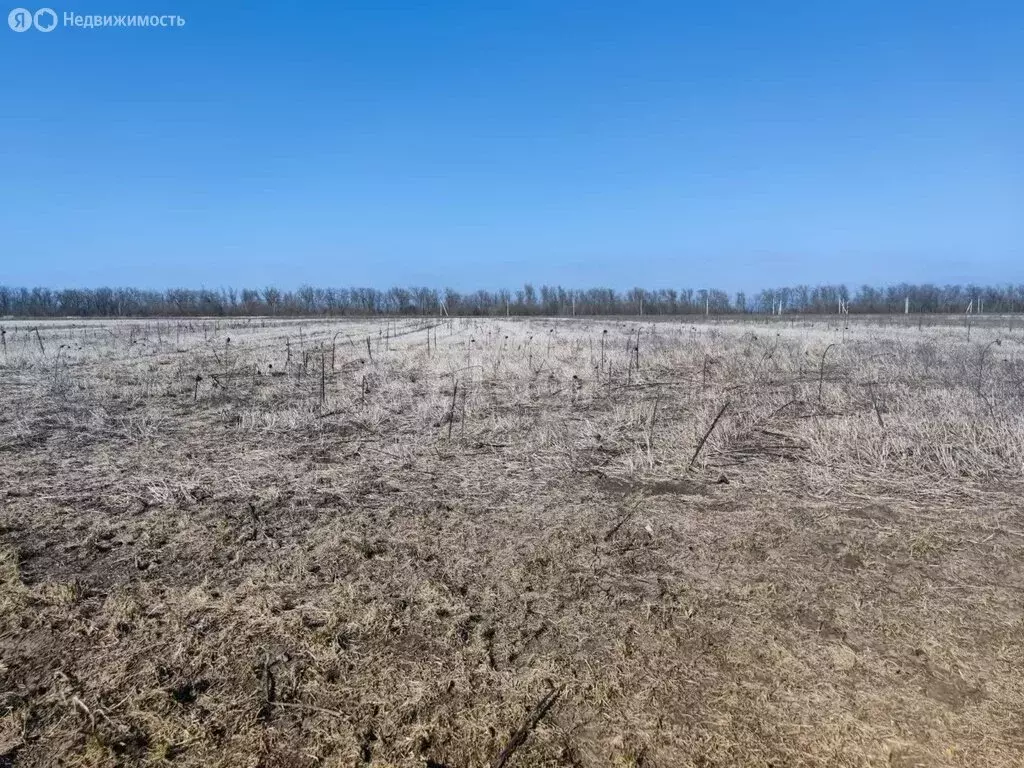 Участок в Аксайский район, Щепкинское сельское поселение, посёлок ... - Фото 0