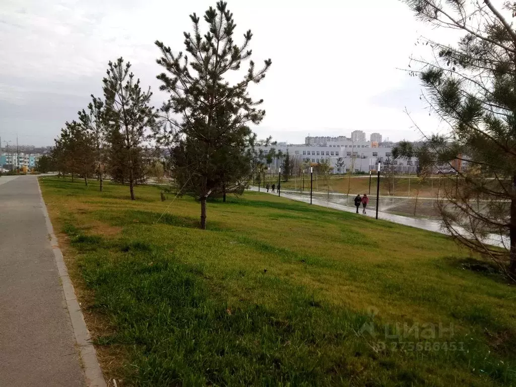 1-к кв. Волгоградская область, Волгоград ул. Добрушина, 18 (27.0 м) - Фото 1