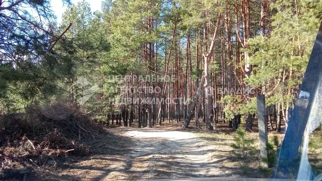 Участок 6,4 сот. (СНТ, ДНП) - Фото 1