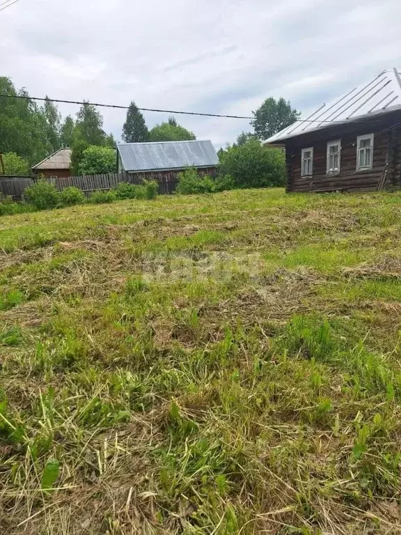 Участок в Вологодская область, Усть-Кубинский муниципальный округ, ... - Фото 1