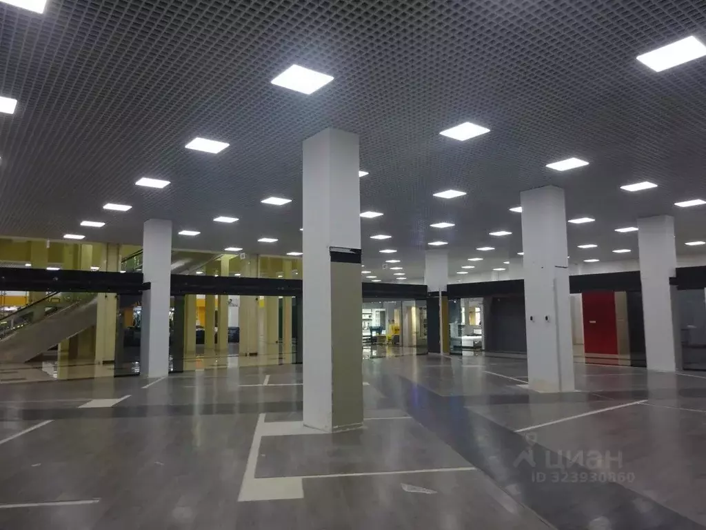 Торговая площадь в Санкт-Петербург Богатырский просп., 18К2 (324 м) - Фото 1