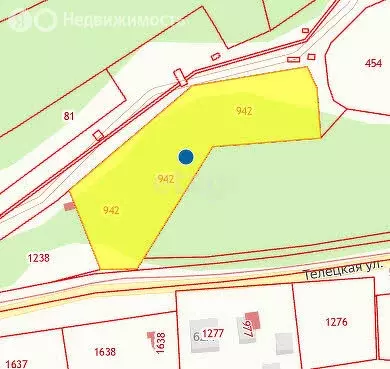 Участок в село Артыбаш, Телецкая улица (28.9 м) - Фото 2