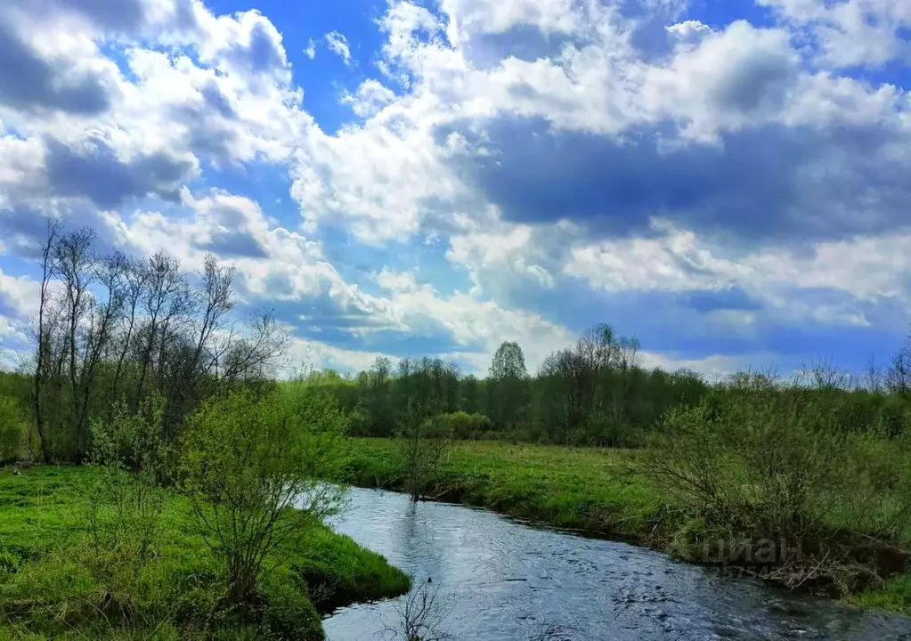 Участок в Вологодская область, Череповецкий район, с. Яганово  (15.0 ... - Фото 1