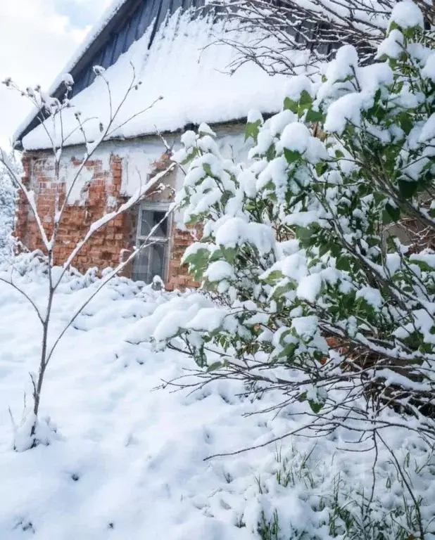Дом в Тульская область, Арсеньевский район, Астаповское с/пос, с. ... - Фото 1