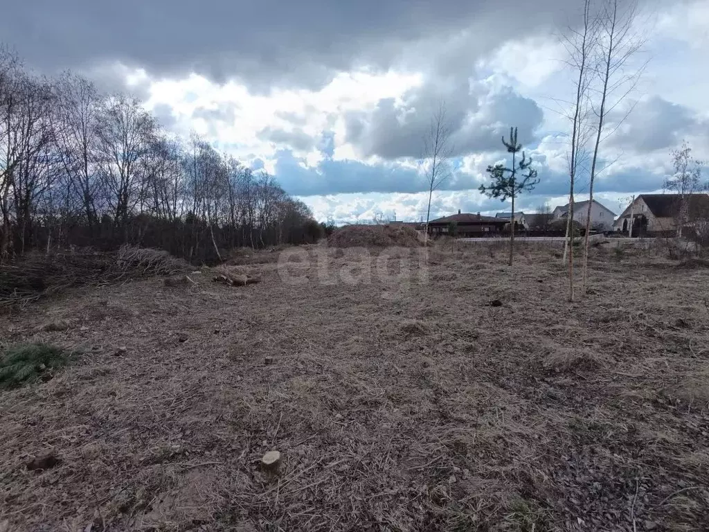 Участок в Псковская область, Псков Паневик мкр, ул. Паневик (15.0 ... - Фото 2