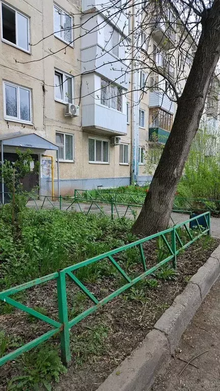 2-к. квартира, 46,2 м, 3/5 эт. - Фото 1