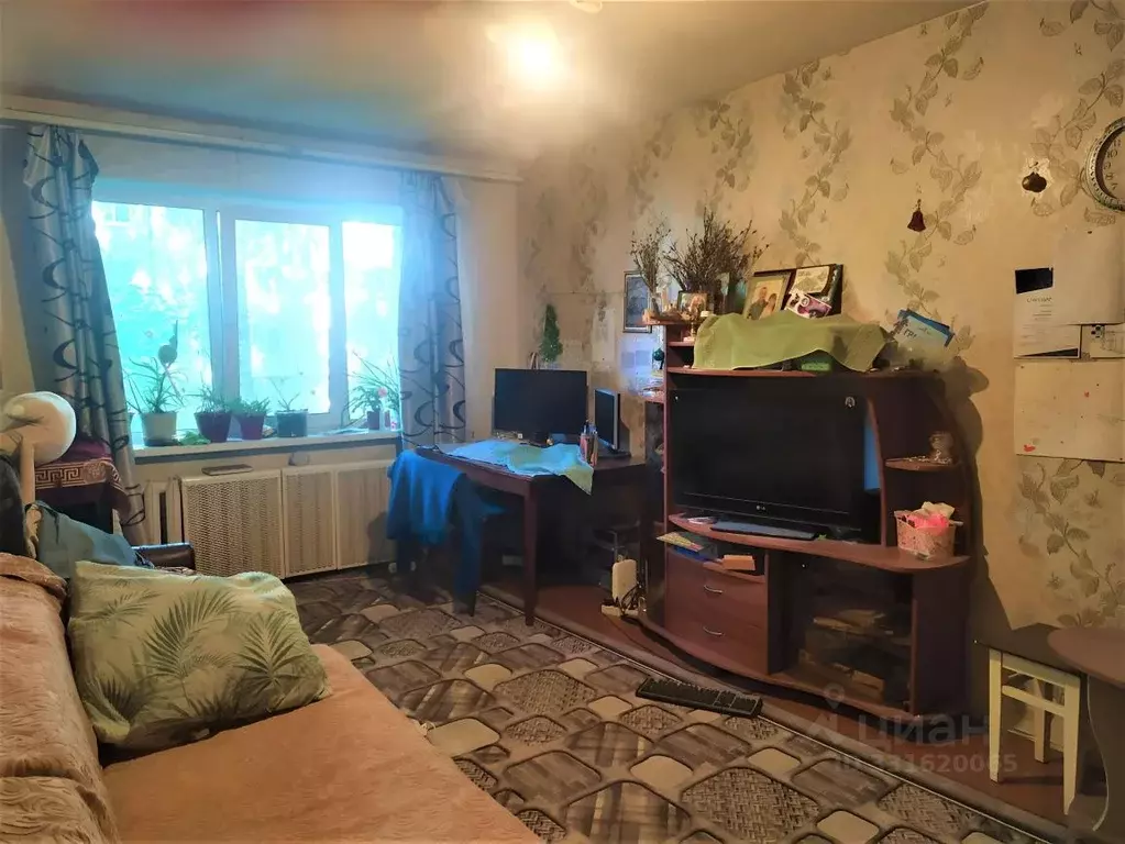 1-к кв. Коми, Сыктывкар Коммунистическая ул., 47 (31.0 м) - Фото 1
